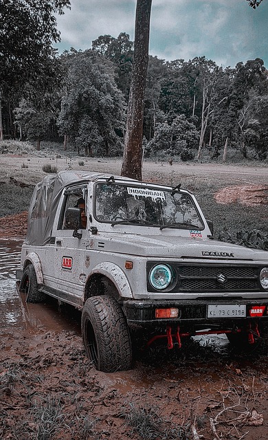 一个令人期 一个令人期